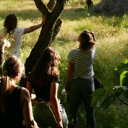 مونسانتو Casa Do Meio Em Quinta De Sao Pedro De Vir-A-Corca المظهر الخارجي الصورة