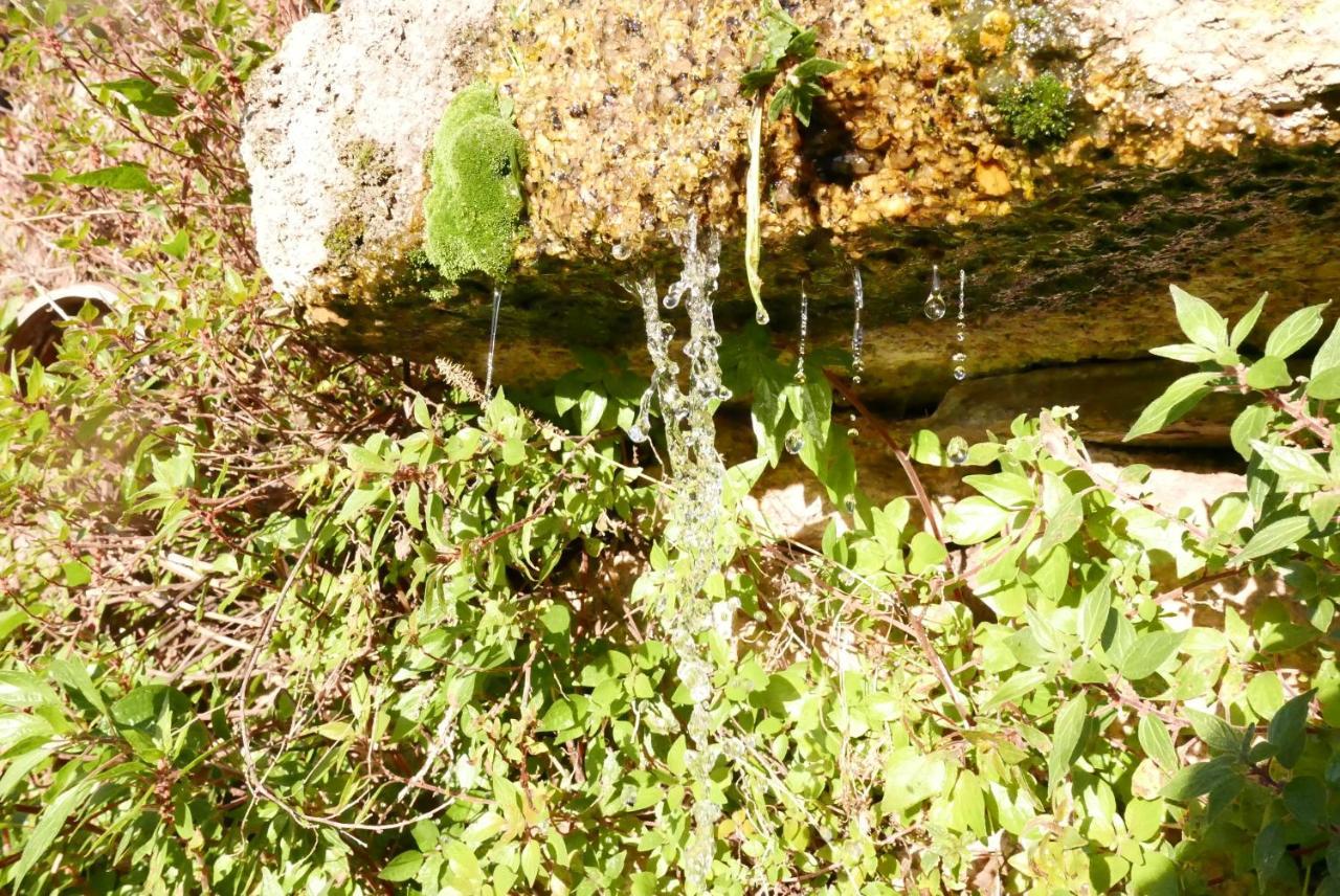 مونسانتو Casa Do Meio Em Quinta De Sao Pedro De Vir-A-Corca المظهر الخارجي الصورة