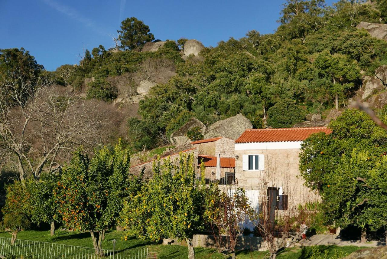 مونسانتو Casa Do Meio Em Quinta De Sao Pedro De Vir-A-Corca المظهر الخارجي الصورة