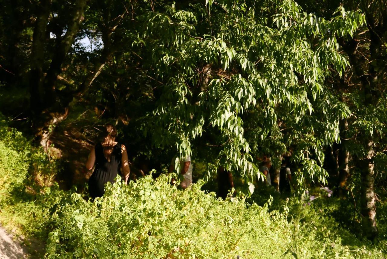 مونسانتو Casa Do Meio Em Quinta De Sao Pedro De Vir-A-Corca المظهر الخارجي الصورة