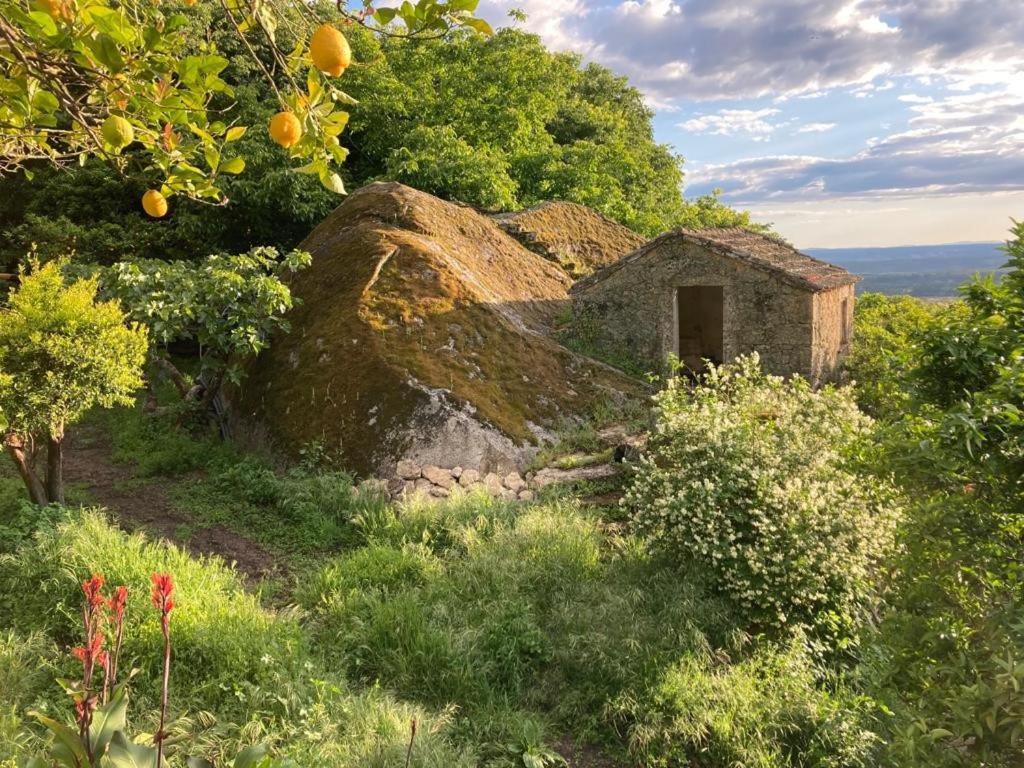 مونسانتو Casa Do Meio Em Quinta De Sao Pedro De Vir-A-Corca المظهر الخارجي الصورة