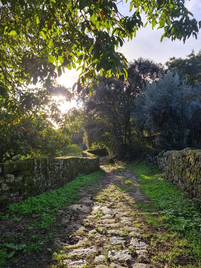 مونسانتو Casa Do Meio Em Quinta De Sao Pedro De Vir-A-Corca المظهر الخارجي الصورة