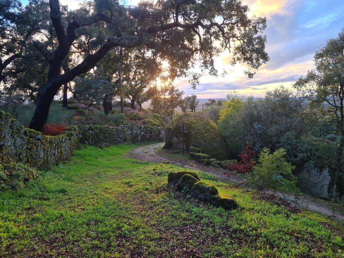 مونسانتو Casa Do Meio Em Quinta De Sao Pedro De Vir-A-Corca المظهر الخارجي الصورة